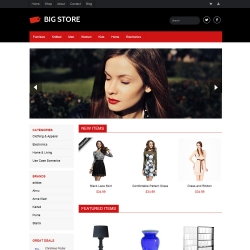 BigStore 